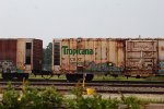 Tropicana 2